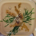 Set Of 5 Vtg Lucite Coasters Cork Bottom Dried Flowers And Shells