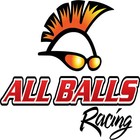 All Balls Crank Shaft Bearing Kit For Polaris 400 4x4 Scrambler 1995-2002 New