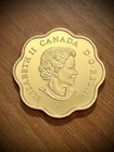 2019 Rcm  20 Canada Scallop Shaped Iconic Maple Leaf Fine Silver W gold Gilding