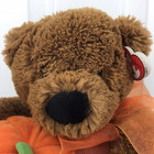 Ty Classic Carver Bear Plush 2006 With Pumpkin Fall Ribbon Bow 9  Sitting W  Tag