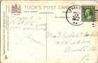 Vintage 1910 Tuck s Christmas Postcard Snowy Pine Branch Scenic