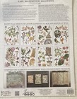 Iron Orchid Designs Transfer Whispering Willow