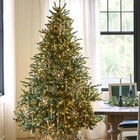 7 5ft Pre-lit Classic Blue Spruce - Artificial Christmas Tree With 2 960  Tips 