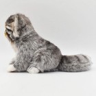 Hansa Manul Cat Kitten 31 Bh7299 Plush Toy