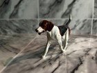 Breyer Reeves Companion Animal   1519 Tricoloured English Foxhound  Retired 2005