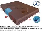 Durable Waterproof Extra Large Orthopedic Memory Foam Pad Pet Dog Bed 40 x35 x4 