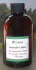 Wisteria Essential Oil 4 Oz Wiccan Craft Pagan Altar Ritual Spell Special  
