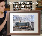 Staten Island Rt Alco S2  Limited Edition Print  Art By Andy Romano R23-633