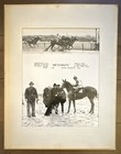 Aqueduct N y  1972 Horse Racing Photo    messmate    J  Arellano