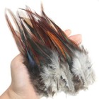 Luorng 50pcs Natural Rooster Tail Feathers Diy Accessories Feathers Black Red