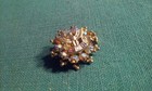Vintage  foe  Fraternal Order Of Eagle Aurora Borealis Round Brooch Lapel Pin