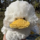 Webkinz Ganz Duck Hm148 Stuffed Animal Plush New Sealed Unused Code