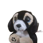 Ty Beanie Bellies Ranger Dog 8  Plush Stuffed Animal Black Brown Tan