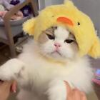 Cat Pet Dog Cute Animal Cap Hat Head Wear For Puppy Headband Fancy Costume New