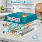 Incubators For Hatching 120 Eggs  Incubator  Automatic Egg Turning