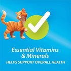 Purina Kit And Kaboodle Dry Cat Food Original Poultry  Liver And Ocean Fish Flvs