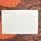 Grateful Dead Vintage Postcard Jerry Garcia   Bob Weir Telluride Co 1980s