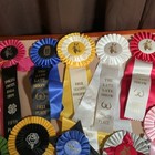 Lot 20 Horse Show Ribbons Rosettes Craft Washington State Equestrian Fair Medal