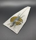 Real Yellowdraco Flying Lizard Draco Volans Female Taxidermy Indonesian Specimen