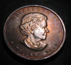 2011 Toned Polar Bear Wildl1fe Series Maple Leaf 1 Oz 9999 Silver Bullion Coin