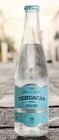 12 Pack  Tehuac  n Brillante Mineral Water 12 Oz Glass Bottles free Shipping