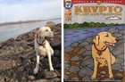 Let Us Draw Your Pet On A Real Comic Book 