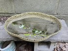 Vintage Mirrored Vanity Dresser Bodouir Tray Gold Filigree Hollywood Regency