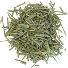 Organic Horsetail -bulk- Equisetum Arvense     Loose Dried Herb     Cola De Caballo