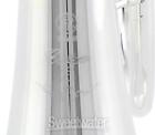Yamaha Yfh-8310ziis Professional Bb Flugelhorn - Silver-plated