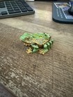 Vintage Enamel Frog Green Gold Toad Trinket Box Crystal Jewel Magnetic Hinge