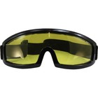 Birdz Eyewear Shatterproof Skydiving   Sports Safety Goggles Yellow Lens