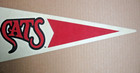 Vintage 1990 s Southern League Carolina Mud Cats Full Size Baseball Pennant