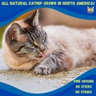 Catnip Stalkless Dried Ground Premium Bulk 12 Ounce Bag Strong Cat Nip For Cats