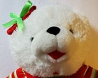Dan Dee 2017 White Plush Snowflake Teddy Bear 19 