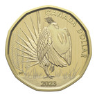 2023 Canada Conservation Stories  Greater Sage-grouse - Specimen Set