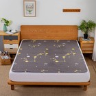 70x78 Inch Large Reusable Bed Pad Incontinence Waterproof Mattress Protector