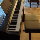 Casio Px-160 Privia 88-key Digital Piano Black W  Stand  Pedal  Power Adapter