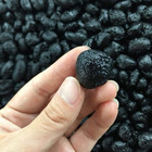 Unique Stones  Natural Stone Meteorite Black Tektite Specimen 6pcs