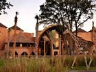 Disney s Animal Kingdom Villas     Jambo House