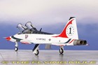 Hobby Master 1 72 T-38c Talon Usaf Thunderbirds  1