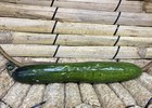 Realistic Artificial Fake Food Vegetable Cucumber Produce Display Prop Cuk3
