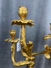 Pair Of Three-light French Louis Xv Style Gilt Bronze Candelabra C 19th Century