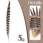 Feelfunfeather 5x 16-18  Natural Reeves Pheasant Tail Feathers Diy Decor