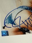 Pamela Anderson  Signed 8x10 Photo   Jsa