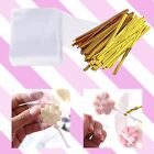Lollipop Cake Pop Treat Bag Kit cake Pop Maker Mold Tools For Lollipops candies