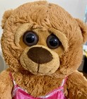 Bear Factory Brown Plush Teddy Bear Black Eyes Pink Dress With Clothes 2001 14   
