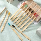 120 Soft Bristle Travel Toothbrushes Individually Wrapped Natural Wood 12 Colors