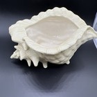 Atlantic Mold Pale Yellow Conch Shell Planter 10  Mcm Vintage