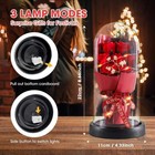 Https  Www amazon com preserved-flowers-delivery-valentines-birthday dp b0dzmys