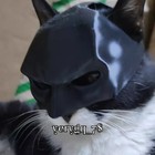 Batman Cat Mask Cosplay Black Clown Head Shape Small Style Pet Hat Halloween New